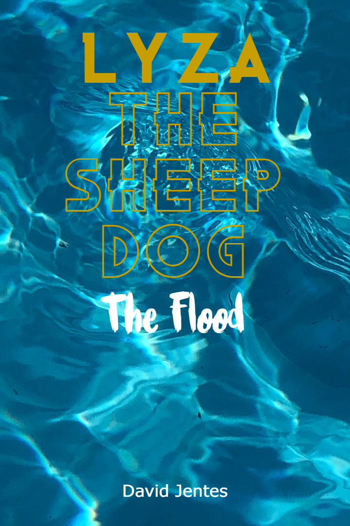 Lyza the Sheepdog: The Flood cover